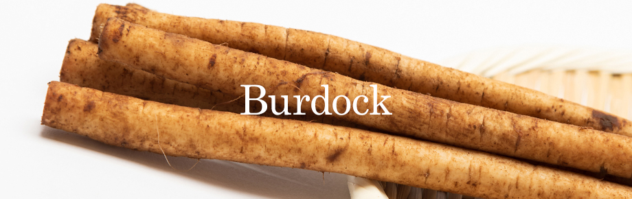 burdock