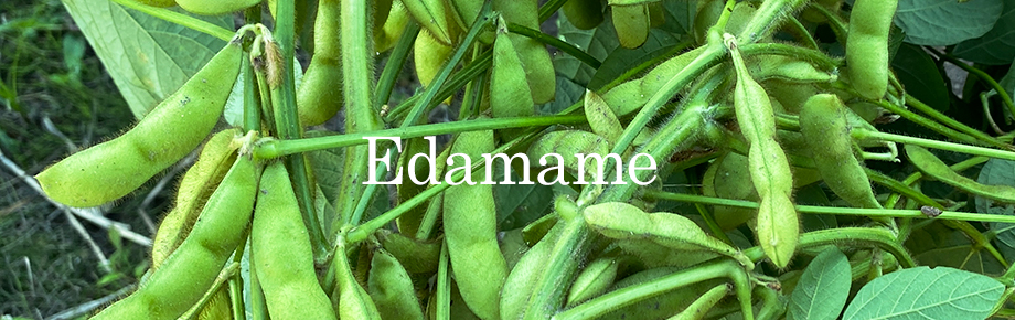 edamame