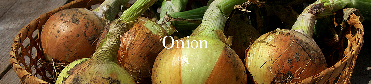 onion