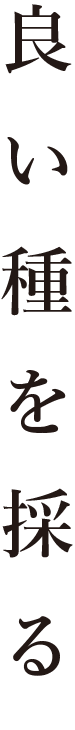 良い種を採る