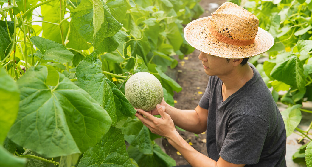 農業
