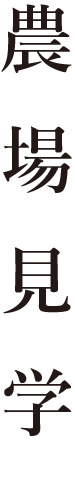 農場見学