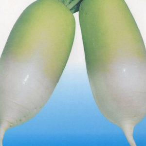 アサヒ交配 四季の味
